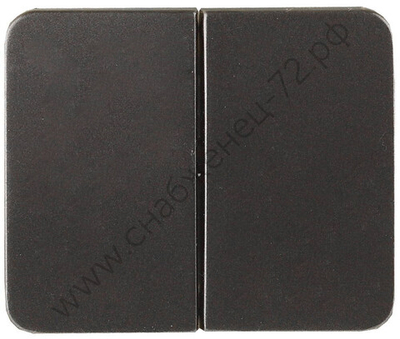 СВЕТОЗАР Гамма, двухклавишный без вставки и рамки цвет темно-серый металлик 10A/~250B, Электрический выключатель (SV-54134-DM)