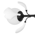 799067 Люстра CERAMO BW 6х6W(led) G9 ЧЕРНЫЙ/БЕЛЫЙ