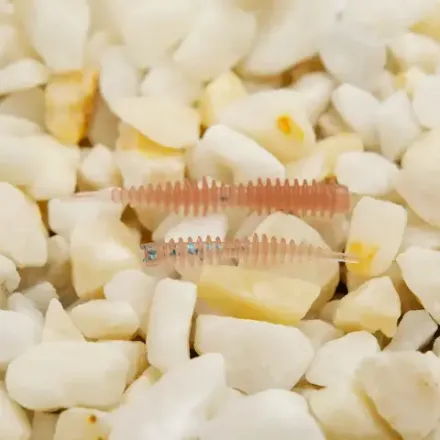 Приманка Nova Baits "Leech 1.6"  Культива 03