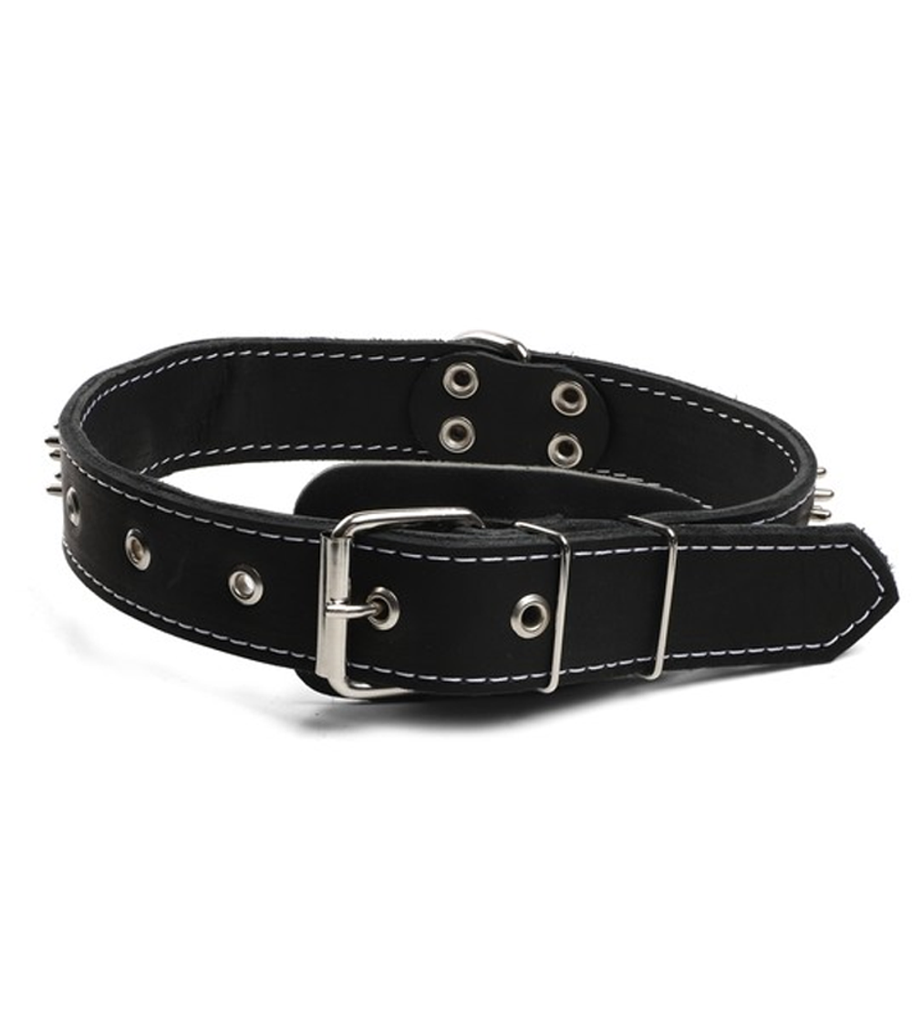 Ошейник двойной с кольцом и украшением кожаный "Ёж", 36*720мм, Gamma