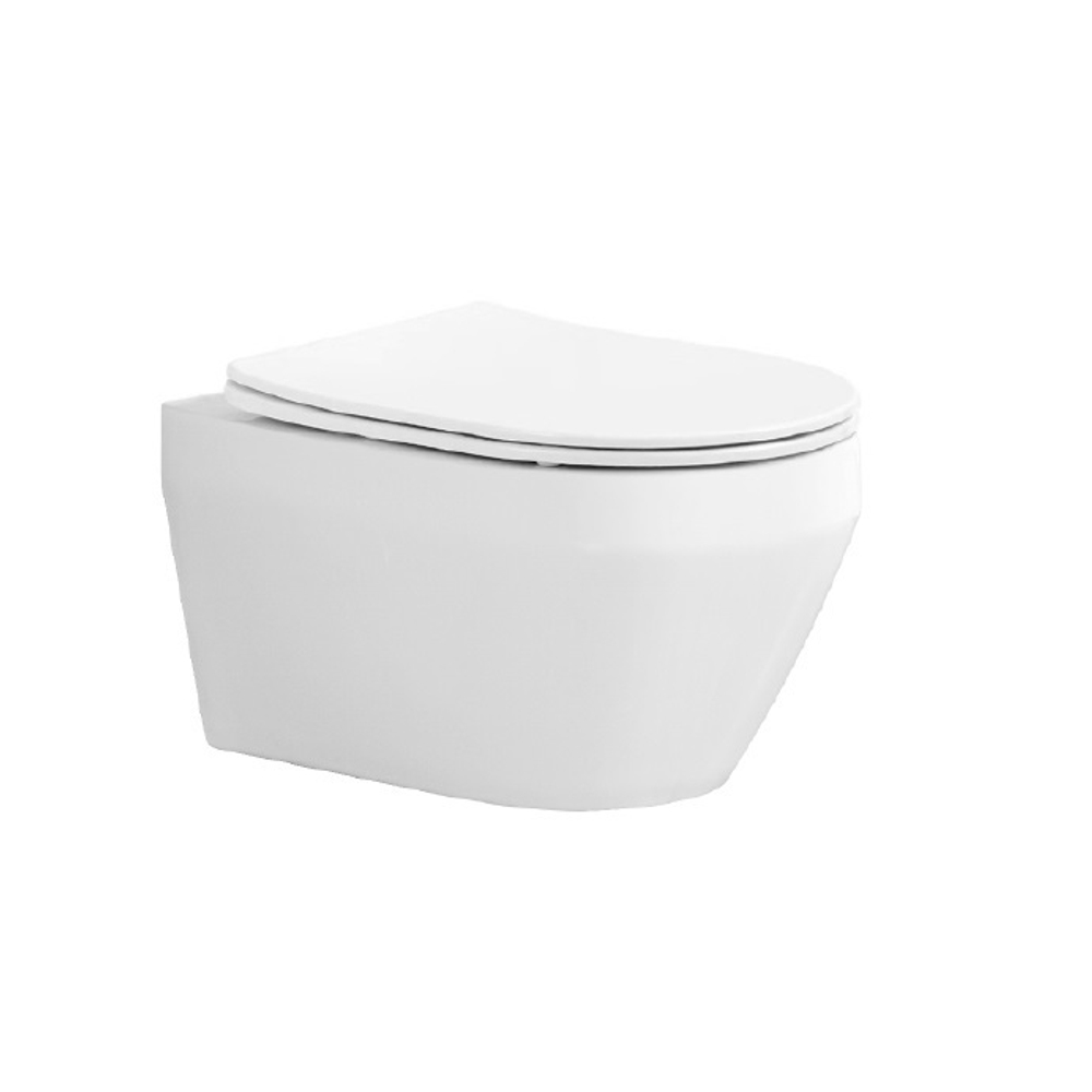 Set AQUATEK ЛЕЯ (рама AQUATEK Standard INS-0000012 с звукоиз.прокладкой+крепеж KKI-0000002+кнопкаKDI-0000009+унитаз ЛЕЯ AQ1199-00 с крышкой-сиденьем soft-close)