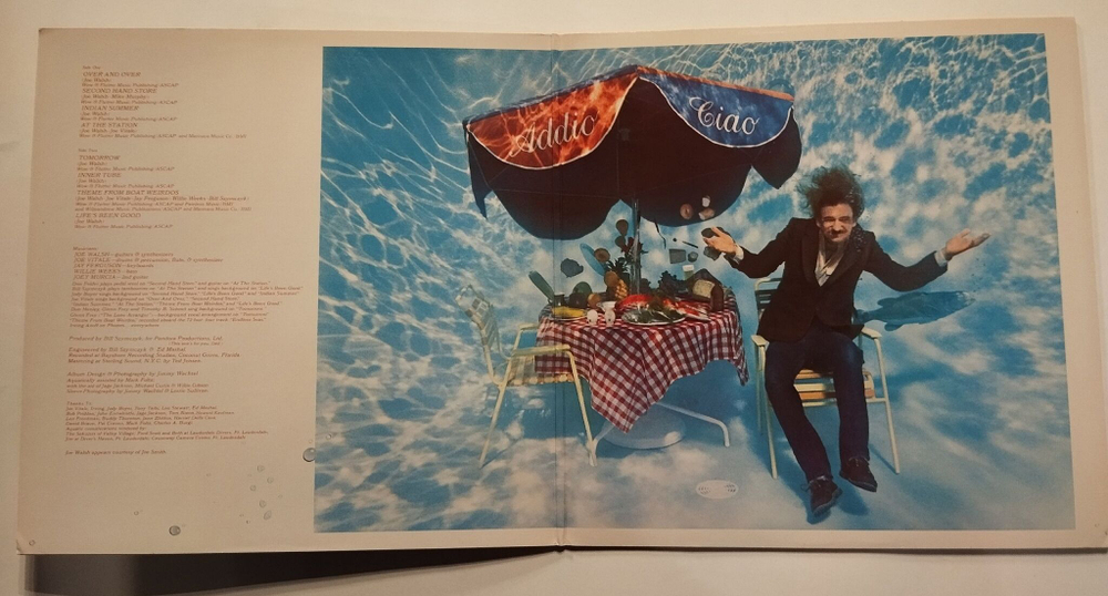 Винтажная виниловая пластинка LP Joe Walsh But Seriously, Folks (USA 1978)