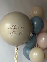 Воздушные шары на определение пола №8840