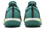 Кроссовки Nike Court Zoom Nxt
