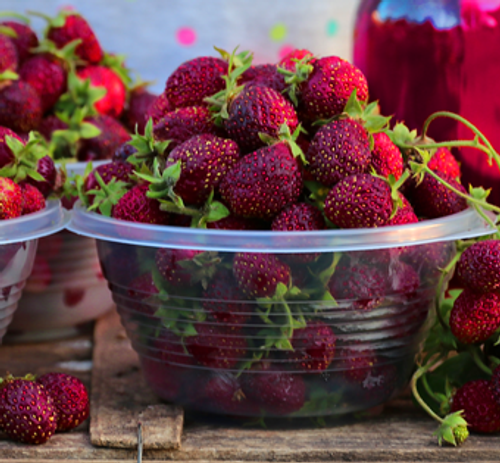 Изабелла земклуника