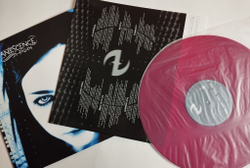 Винтажная виниловая пластинка LP Evanescence Fallen (EU 2013) (Purple Vinyl)