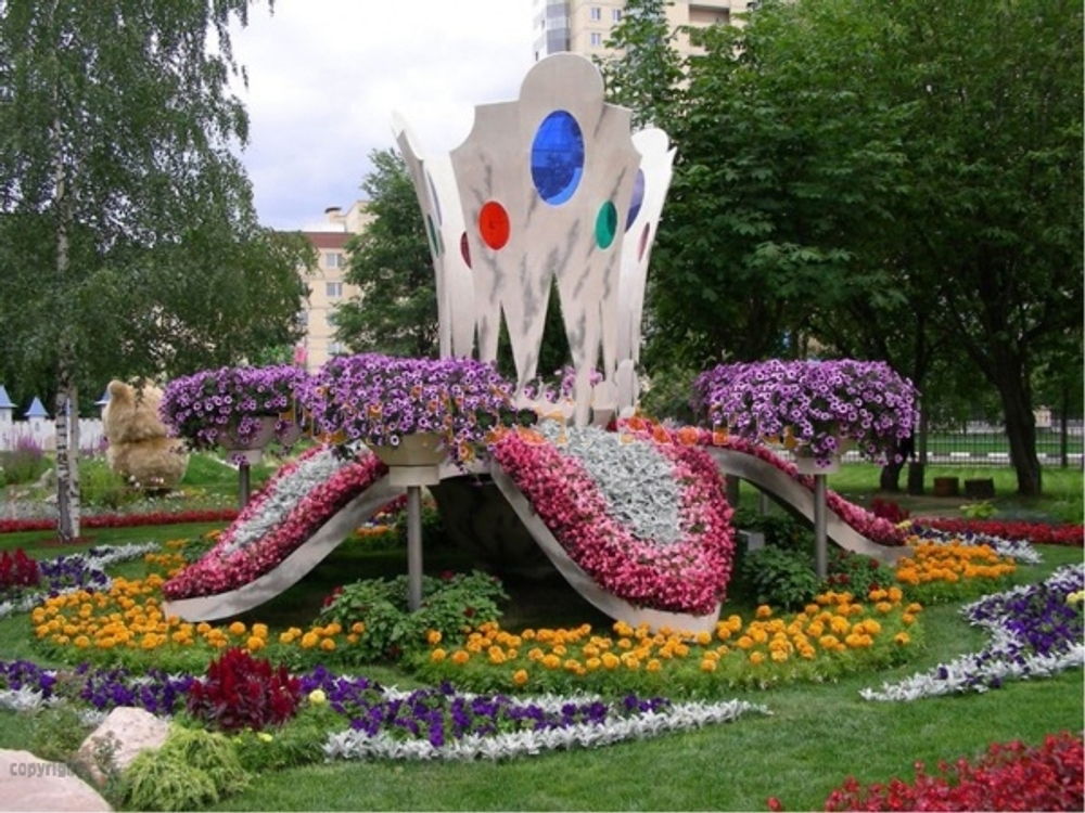 Парковая клумба Нарцисс
