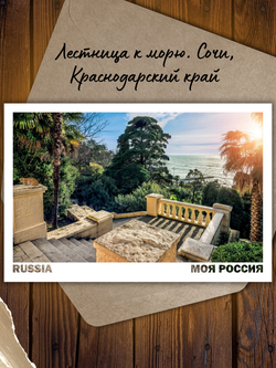 Моя Россия. Коты
