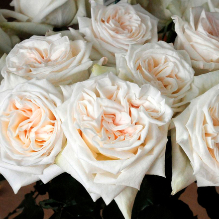 ❤️ Вайт О'Хара — корзина ароматных романтических роз — в день всех влюблённых у Феи