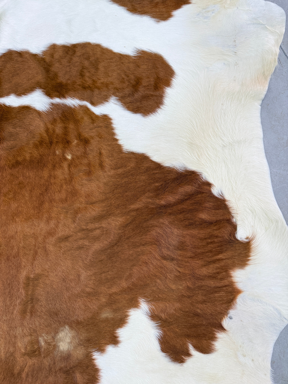 Коровья шкура на пол натуральная.