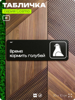 Табличка Время кормить голубей, шуточная прикольная табличка на дверь и стену черная, постироничный декор для офиса и дома, серия COSMO DECOR, 30х10 см, Айдентика Технолоджи