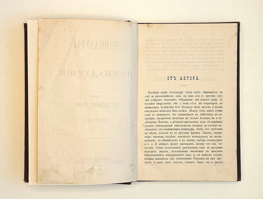 Салтыков-Щедрин М.Е. Помпадуры и помпадурши. СПб.: В типографии А.А. Краевского, 1882.