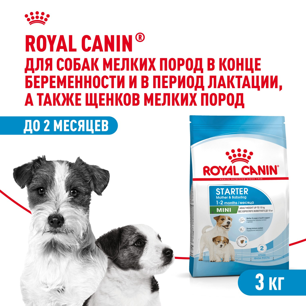 Royal Canin Mini Starter Мини Стартер Корм сухой для собак мелких пород в конце беременности в период лактации для щенков до 2-х месяцев 3кг