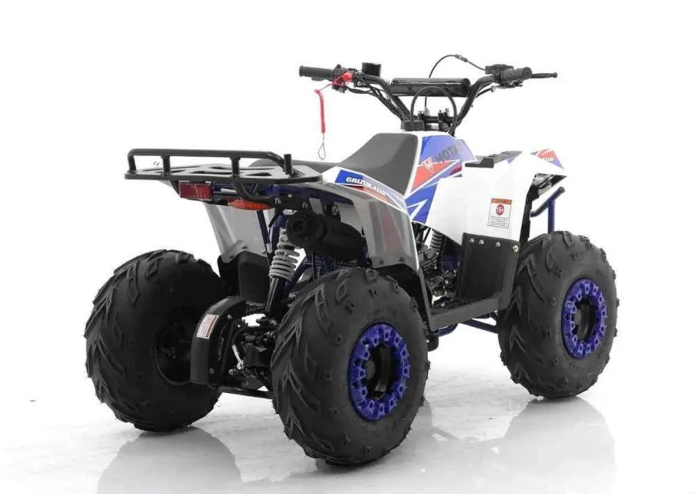 Квадроцикл MOTAX GRIZLIK A110