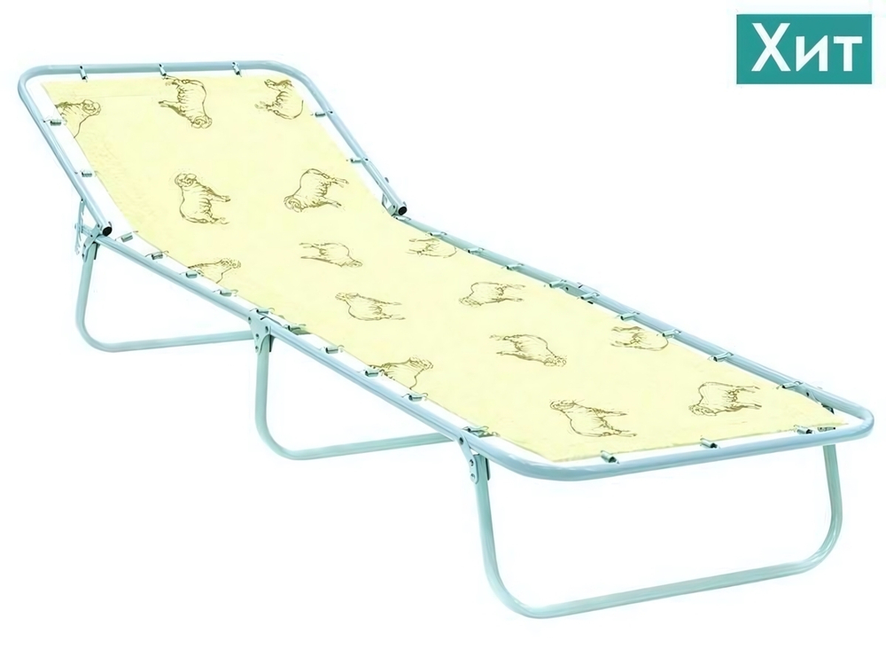 Раскладушка Эконом до 90кг
