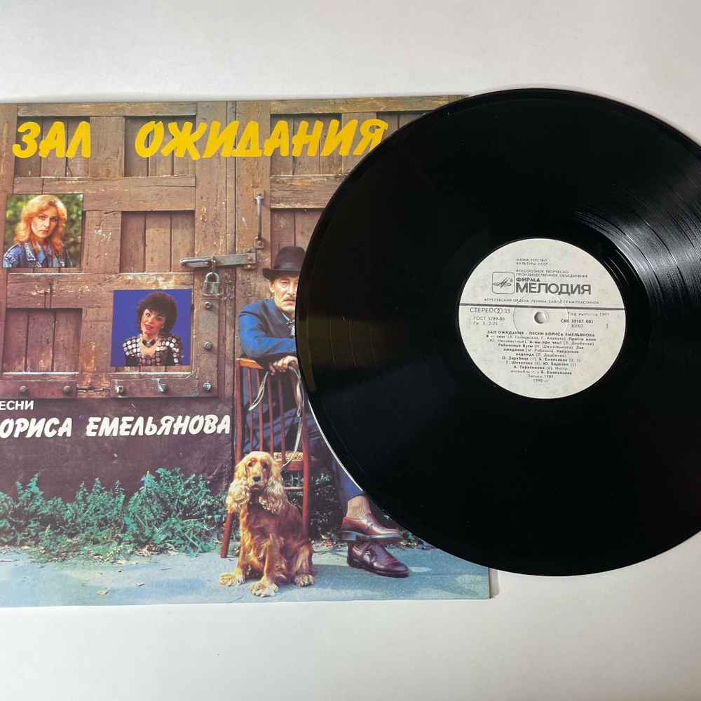 Винтажная виниловая пластинка LP Борис Емельянов Зал Ожидания (СССР 1990)
