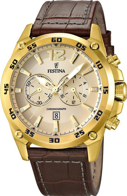 Мужские наручные часы Festina F16880/1