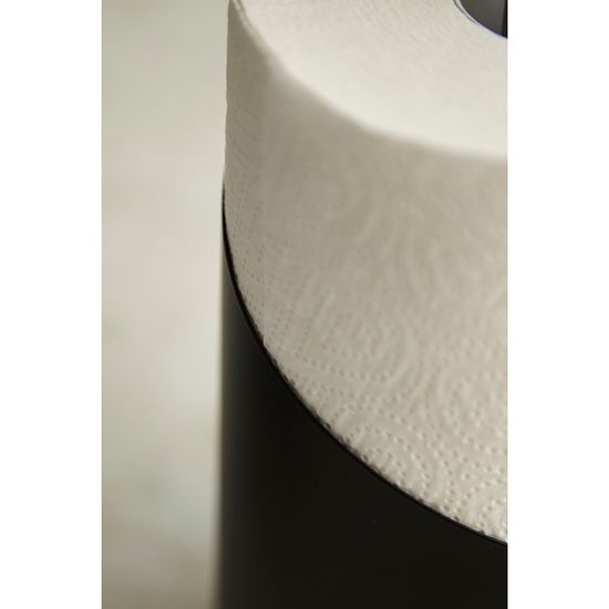 Держатель для бумажных полотенец riks, графит