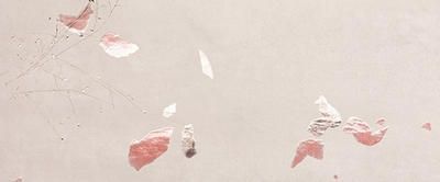 Керамическая плитка для стен Ylico Petals 50x120