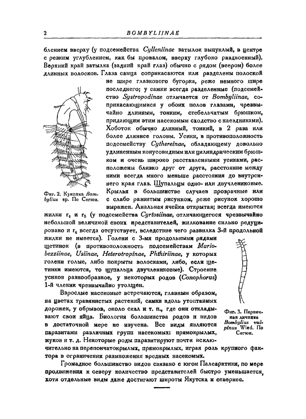 Фауна СССР. Насекомые двукрылые. Том IX. Выпуск 2. Сем. Bombyliidae (подсем. Bombyliinae) | Парамонов С.Я.