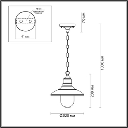 Уличный подвесной светильник Odeon Light 4965/1