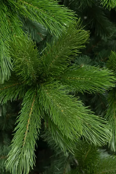 Искусственная елка Каспийская 500 см., литая хвоя + ПВХ, ЕлкиТорг (257500)