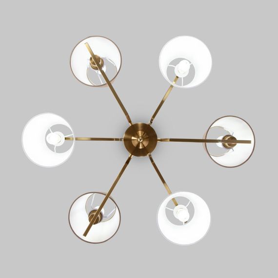 Потолочная люстра Eurosvet Ozark 60149/6 латунь