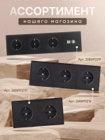 Розетка внутренняя четверная с заземлением черная