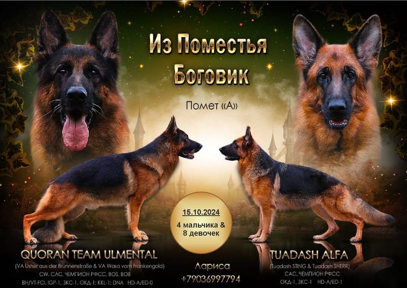 Помет "А"