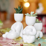 Набор для выращивания eco Романтик