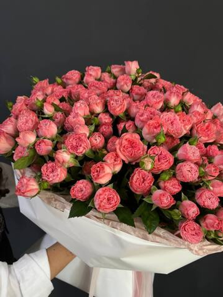 51 кустовая роза "Мадам Бомбастик"