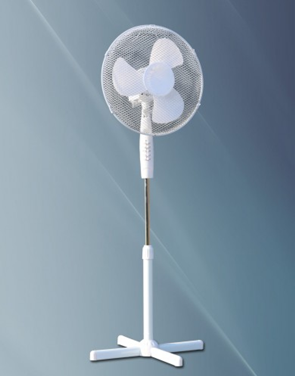 7857a486-552c-11e9-9863-30e171518e24_d569fbf7-6e33-11e9-9386-30e171518e24