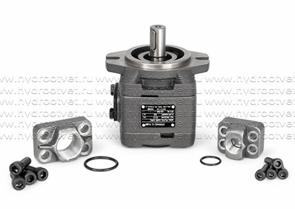 PGF2-2X/011RE07VU2 - Шестеренный насос внутреннего зацепления с рабочим объемом 10 см3, 315 бар (YLH1-10R-PC-10)