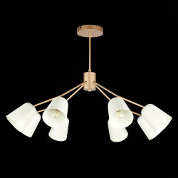 Светильник потолочный Evoluce Mario SLE155902-08