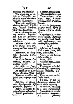 The English and Welch Dictionary | John Roderick