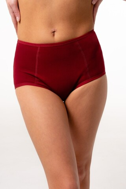 Набор из 3 впитывающих трусов Light 🩸🩸