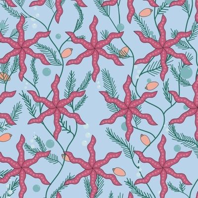 Морские звёзды