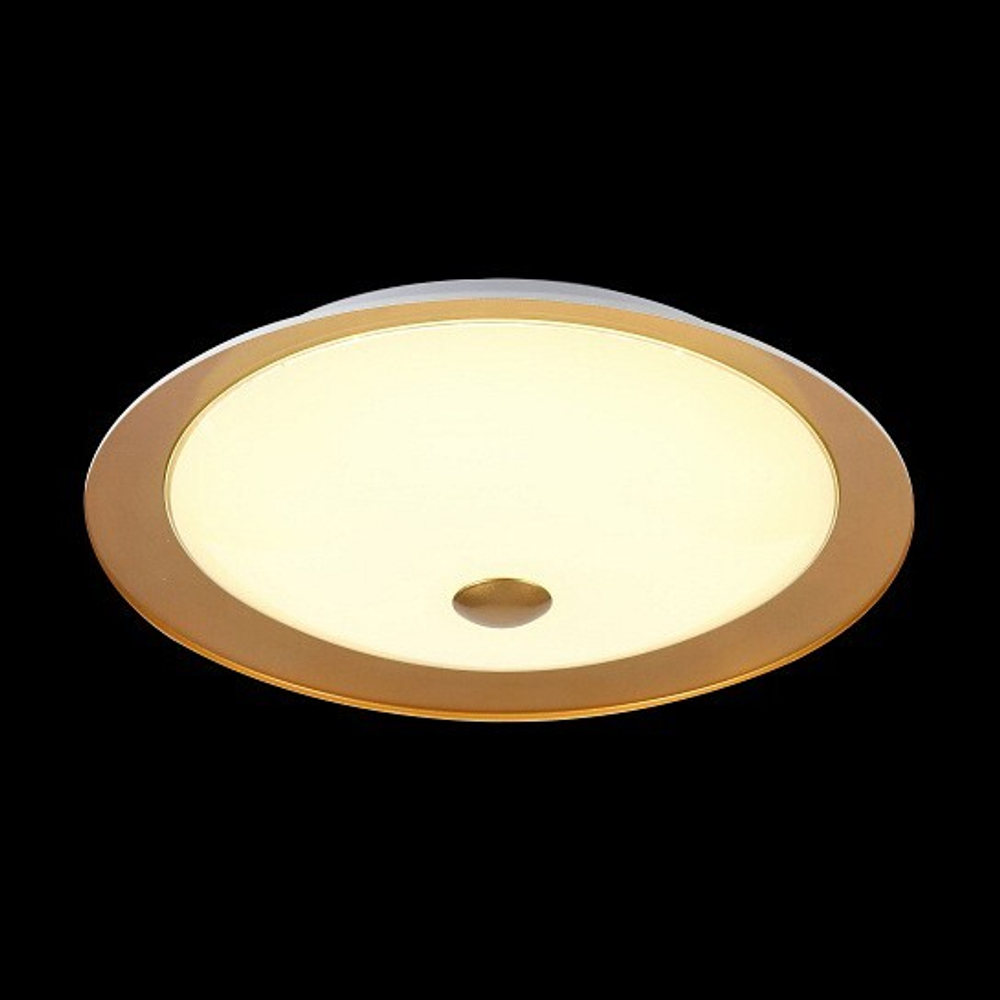 Накладной светильник Maytoni CL815-PT50-G