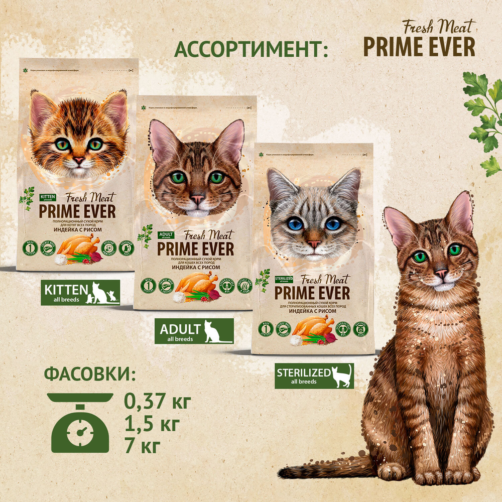 Сухой корм PRIME EVER Fresh Meat Kitten для котят, индейка с рисом, 370 г