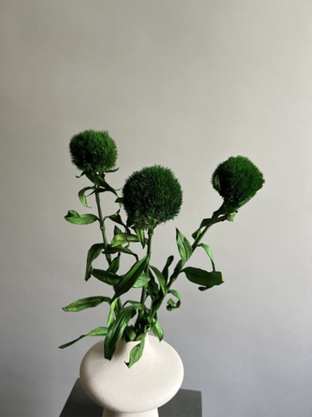 Грин боул зеленый