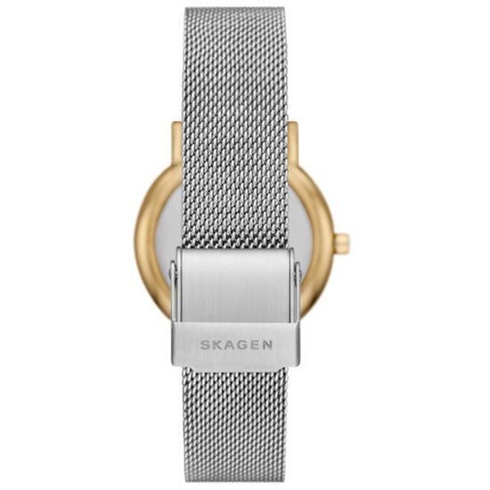 Женские часы Skagen SKW3153SET