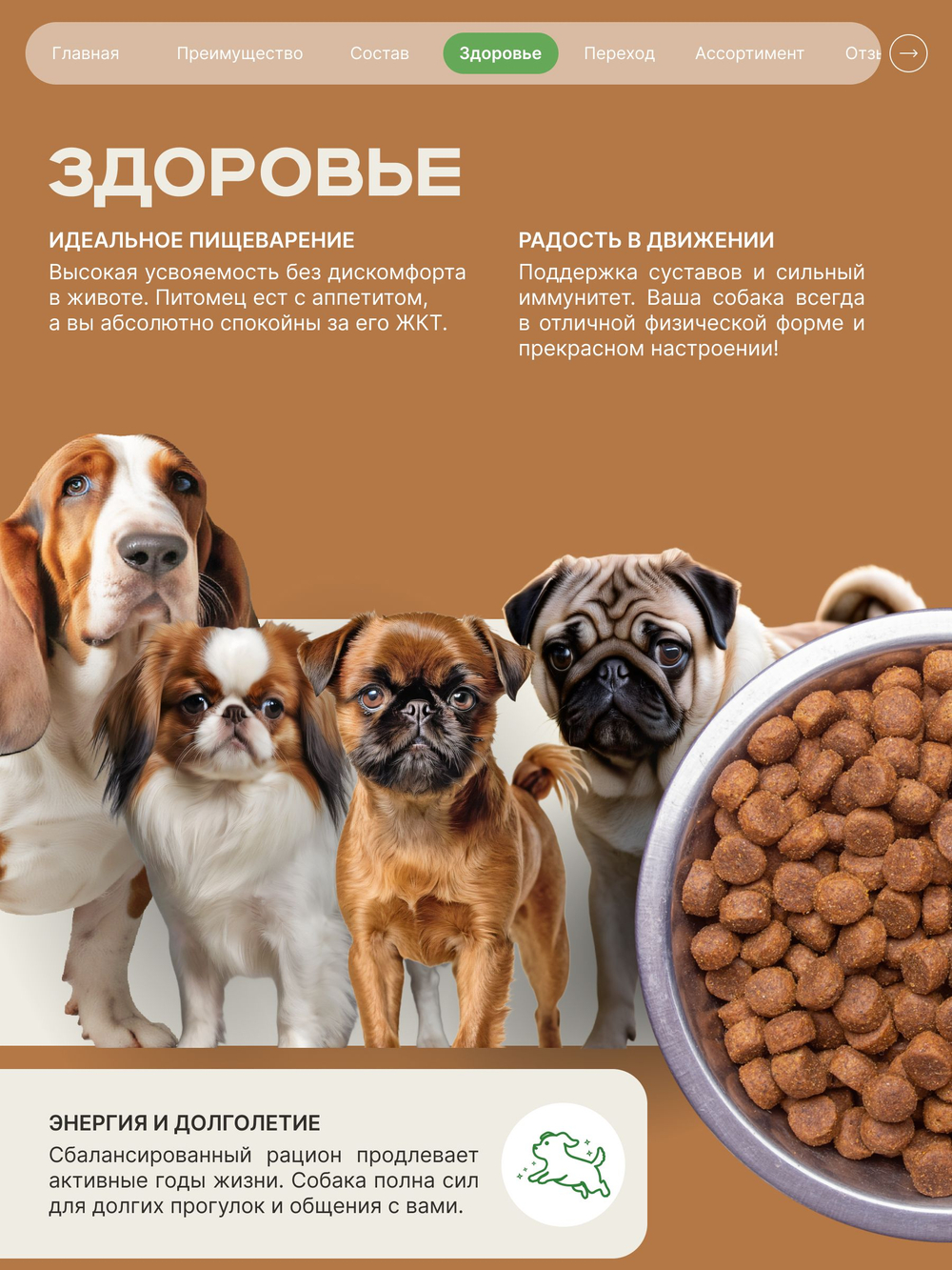 Корм сухой для взрослых собак породы Шарпей, с ягненком, 12 кг, QUATTRO