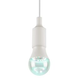 Лампа для птиц и рептилий ЭРА Chicken с UVB спектром FITO-Dim 9W E27 | Лампы для птиц и рептилий