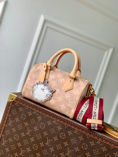 Louis Vuitton Speedy Bandouliere 20