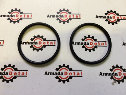 Уплотнительное кольцо КПП | 828/10180 | Aries