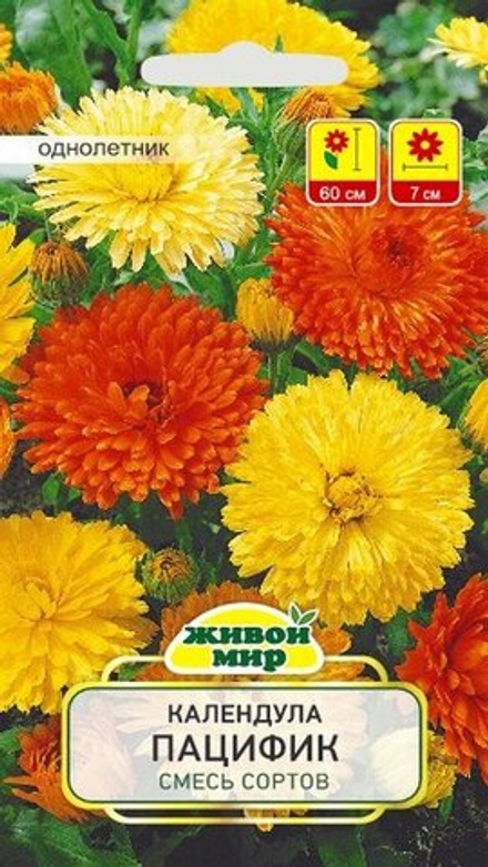 Kaлeндyлa "ЖМ. Пaцифик" 2г., Германия.