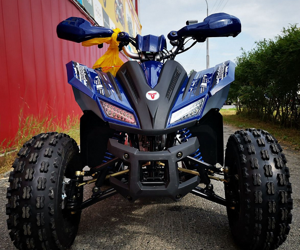 Квадроцикл MOTOLAND (МОТОЛЕНД) 125 COYOTE PRO