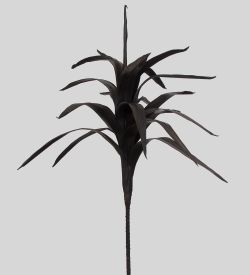 TRN 122 Кордилина