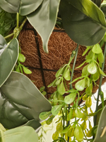 Композиция подвесная Джангл