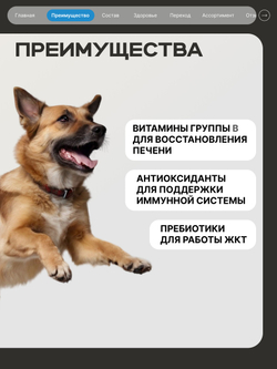 Корм сухой для взрослых собак средних пород, премиум полнорационный комплекс, забота о здоровье печени, с лососем, 12 кг, QUATTRO